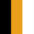 Black / Gold / White